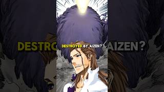 What Happened after Aizen Destroyed the Cleaner bleach bleachanime anime [upl. by Rica488]