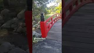 LOVELY AND PEACEFUL SAGINAWS JAPANESE GARDEN FOOT BRIDGE shorts sister city nature natural [upl. by Iv]