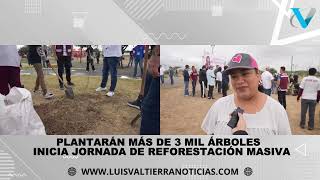 Plantarán más de 3 mil arboles en Nuevo Laredo [upl. by Sirac184]