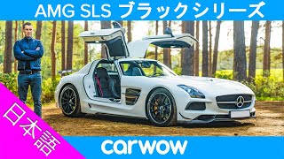 【詳細レビュー】AMG SLS ブラックシリーズ  世紀のスーパーカー [upl. by Pevzner]