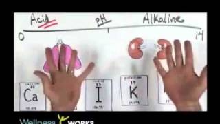 Alkaline  Acid pH Balanced Diet Explained [upl. by Maurizia]