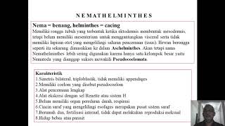 PHYLUM NEMATHELMINTHES [upl. by Annoeik]