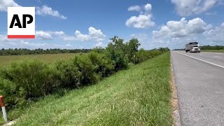 1yearold boy survives two days along Louisiana highway before driver spots him [upl. by Batish]