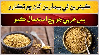 Fenugreek A Herb with Impressive Health Benefits [upl. by Biddy]