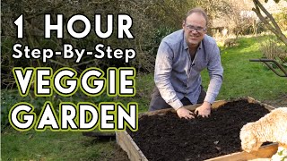 New Vegetable Garden How To Get Started [upl. by Lorant]