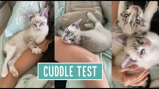 Puff amp Puffer  The Cuddle Test [upl. by Yrod]