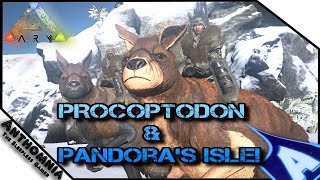 ARK Survival Evolved  Procoptodon Gameplay  Pandora isle Mod  Showcase  Patch 229  KANGAROO [upl. by Leiand]