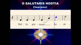 O28a O Salutaris Hostia Soprano  for OLMGrand Choir [upl. by Town]