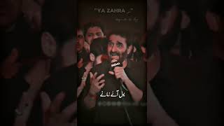 Mazar e Fatima Noha Nadeem Sarwar Live alijee nadeemsarwar alishanwar Viral [upl. by Bonney]