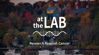 At the Lab Season 1 Research Rewind Cancer [upl. by Jonette]