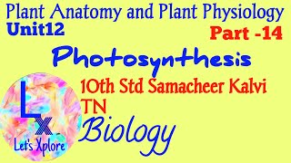 10th Std Biology Unit 12 Plant Anatomy and Plant Physiology Photosynthesis Samacheer Kalvi TN [upl. by Giacomo]