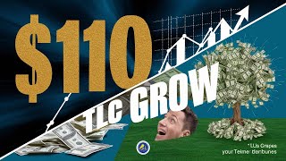 TLC Coin Return 7730 In One Month  Reality of Tlc Coin  India NO1 Crypto Currency Project [upl. by Keldah694]