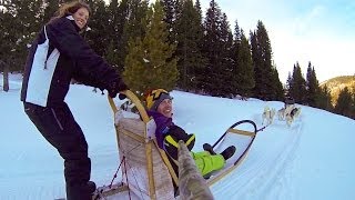 Dog Sledding with GoPro [upl. by Habeh175]