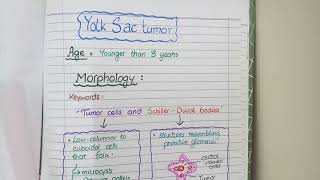 SEMINOMA and NONSEMINOMAS  Testicular Cancers Pathology [upl. by Ahsiekin]