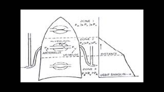 ENRG physiologie respiratoire rapport ventilation perfusion [upl. by Klusek867]