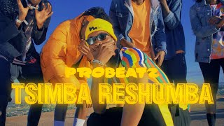 PROBEATZ  Tsimba ReShumba Captain Mfombi Soundtrack Official Music Video [upl. by Eseilanna478]