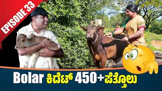 Bolar Vs Nandalike  Bolar ಕಿದೆಟ್ 450 ಪೆತ್ತೊಲು│Private Challenge 30S3│EP  33│Tulu Comedy [upl. by Idham]