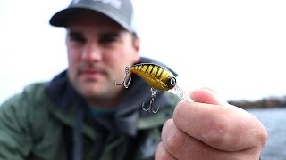 Trolling Micro Crankbaits for Crappie in the Fall ep12 of 30 Day Challenge [upl. by Gus]