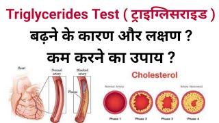 Triglyceride Test in Hindi  triglyceride test normal range  triglycerides kaise kam kare in hindi [upl. by Aicenaj]