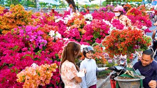 Chưa từng thấy hoa tết năm nay giá rẻ bèo đẹp rực rỡ hoành tráng người dân đổ xô mua kẹt cứng đường [upl. by Laon]