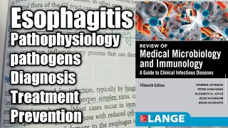 Esophagitis in Urdu ampHindi Gastrointestinal tract Infection [upl. by Sussman35]