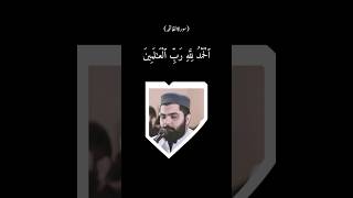 Surah fatiha by Dr Subayyal ikram qiratRecitationrecitation shorts ytviral ytshort status [upl. by Landre]