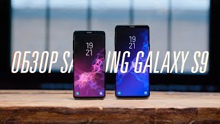 Обзор Galaxy S9 и S9 [upl. by Lenod]