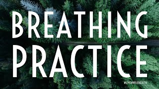 LiveWholeHealth Breathing Practice [upl. by Siouxie]