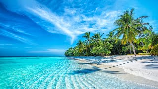 Beautiful Relaxing Music  Stop Overthinking Mind Calm Serene Seascapes for Ultimate Relaxation [upl. by Sidwohl894]