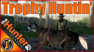 Another Wall Hanger for Our Trophy Lodge  Lets Go Trophy Huntin [upl. by Odlonyer456]