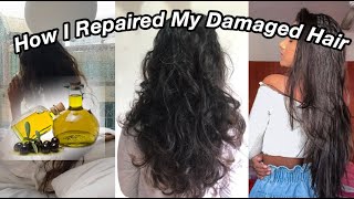 How To Repair Damaged Hair  Natural Remedies [upl. by Garbers]