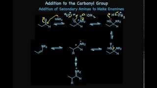 Addition of Amines to Aldehydes and Ketones to Make Imines and Enamines [upl. by Casey]