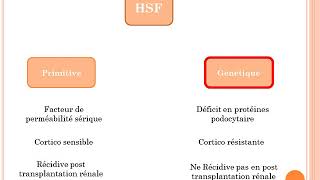 HSF Actualités en physiopathologie partie 02 [upl. by Conan]