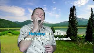 Karaoke percek Karesszal  Halvány őszi rózsa 32 együttes [upl. by Politi960]