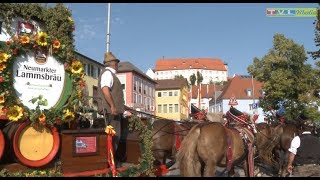 Volksfest Parsberg 2017  Standkonzert  Volksfestzug [upl. by Otila]