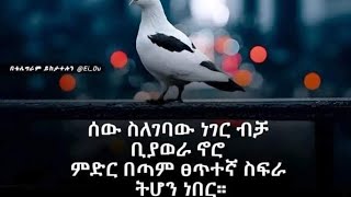 SEBLE GETO ሰብለ ጌቶ is live ሰው ስለገባው ነገር ብቻ ቢያወራ ኖሮ ምድር በጣም ፀጥተኛ ስፍራ ትሆን ነበር [upl. by Jaffe507]