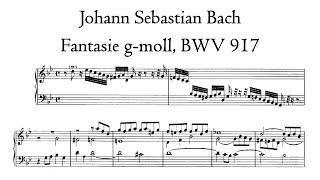 JS Bach  Fantasie gmoll BWV 917  Bach organ Arnstadt Hauptwerk [upl. by Hsan]