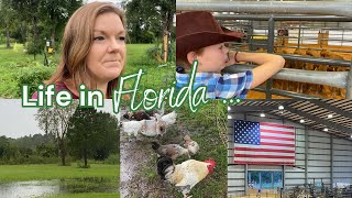 Life in Florida  Large Family Vlog [upl. by Vetter]