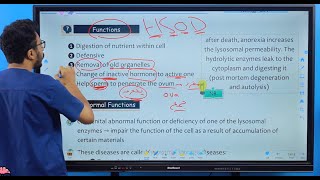 Lysosome  General Histology Lec 1 Part 6  Dr Amro Ashraf [upl. by Eveivenej]