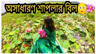 একদিনেই ঘুরে আসুন ঢাকার কাছে শাপলা বিলে  Shapla Bill  Rupganj  PoddoBillNarayanganj  2019 [upl. by Gaspard]