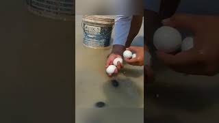 Wow Big Snails and Many Ducks Egg shorts viral fyp [upl. by Welsh869]