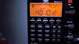 Tecsun PL880 vs PL660 on 4010 Khz Birinchi Radio Kyrgyzstan [upl. by Davita415]