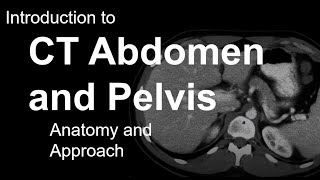 Introduction to CT Abdomen and Pelvis Anatomy and Approach [upl. by Lysander]