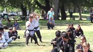 Hapkido  Tae Kwon Do Myung Kim 2017 Picnic and Demo Kids Black Belt Forms [upl. by Amaris]