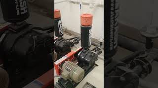 STP plant  sewage water treatment plant viralvideo ytshorts youtubeshorts tranding [upl. by Zimmer]