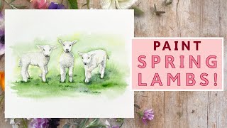 How To Paint Watercolour Spring Lambs [upl. by Natanhoj]