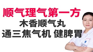 顺气第一方—木香顺气丸，能通三焦气机，健脾胃，但你用对了吗？ [upl. by Neri]