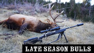 Late Season Bull Elk Hunting Two Bulls Down S4Ep4 [upl. by Yelkcub]