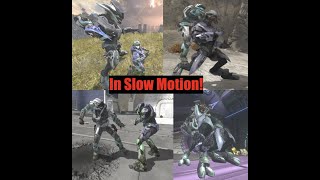 Halo Reach  All Multiplayer Assassinations in Slow Motion [upl. by Collins]