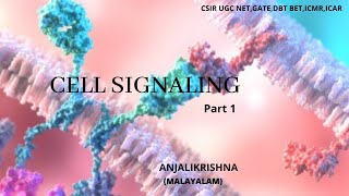 Cell signaling basicsPart 1 [upl. by Yerrok]